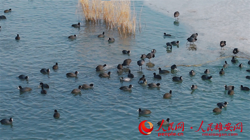 c8c46440efd2063e8ed9842ed8841922_LOCAL202202192157000215686783183.jpg c8c46440efd2063e8ed9842ed8841922_LOCAL202202192157000215686783183.jpg