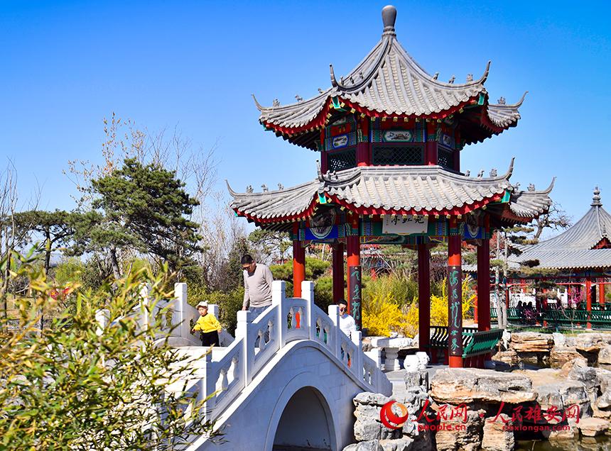 春天的雄安郊野公園，春和景明。人民網(wǎng)宋燁文攝