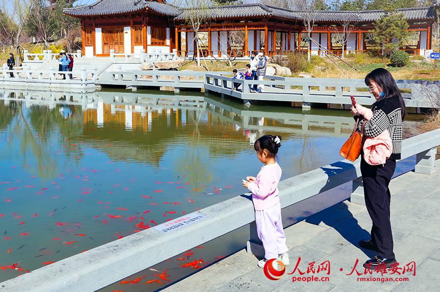 雄安悅?cè)莨珗@一角，不少家長(zhǎng)帶著孩子前來(lái)游玩。人民網(wǎng)宋燁文攝