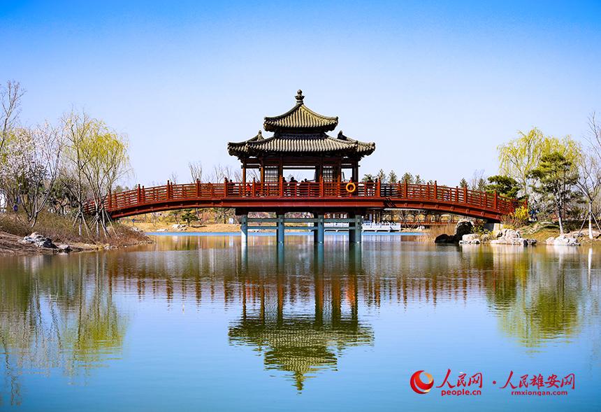 雄安悅?cè)莨珗@一角，微風(fēng)吹動(dòng)水面，泛起陣陣漣漪。人民網(wǎng)宋燁文攝