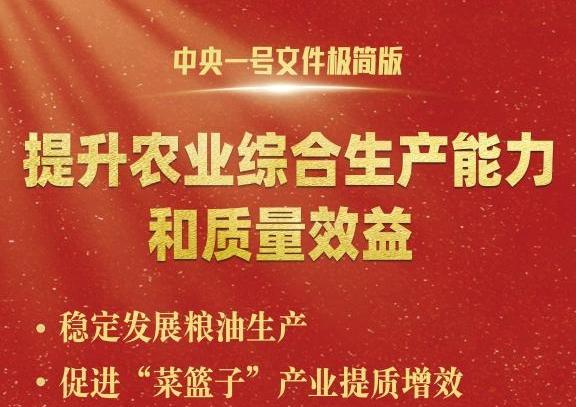 中央一號文件，極簡版來了！