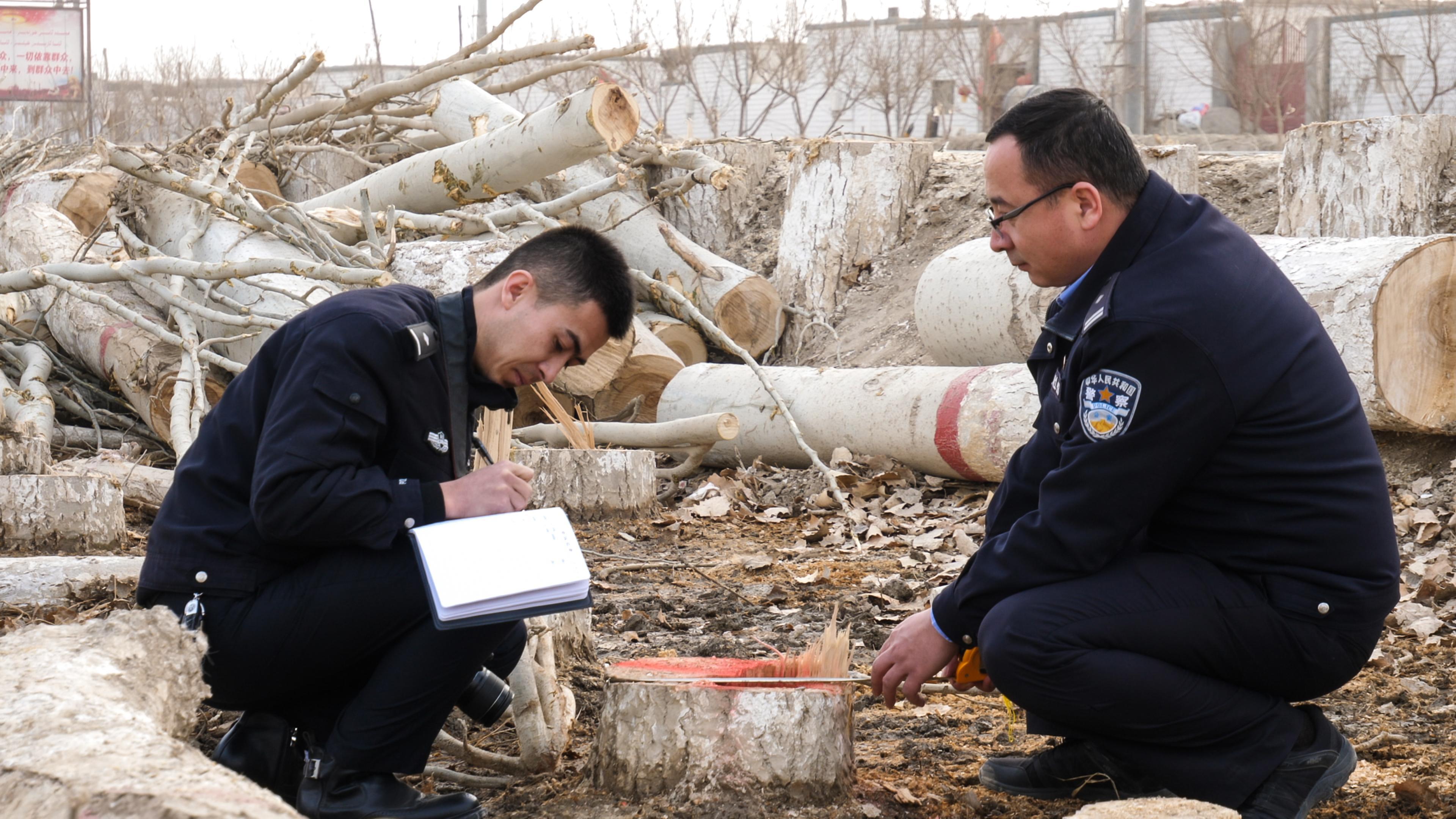 噪音擾民、濫伐林木 新疆新和縣兩部門聯(lián)動(dòng)查辦