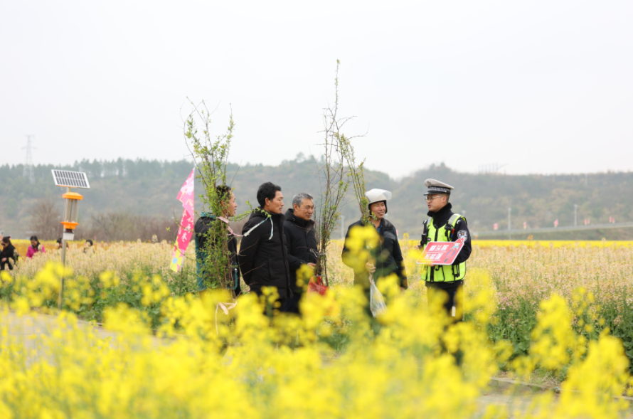 江西遂川：油菜花田話安全