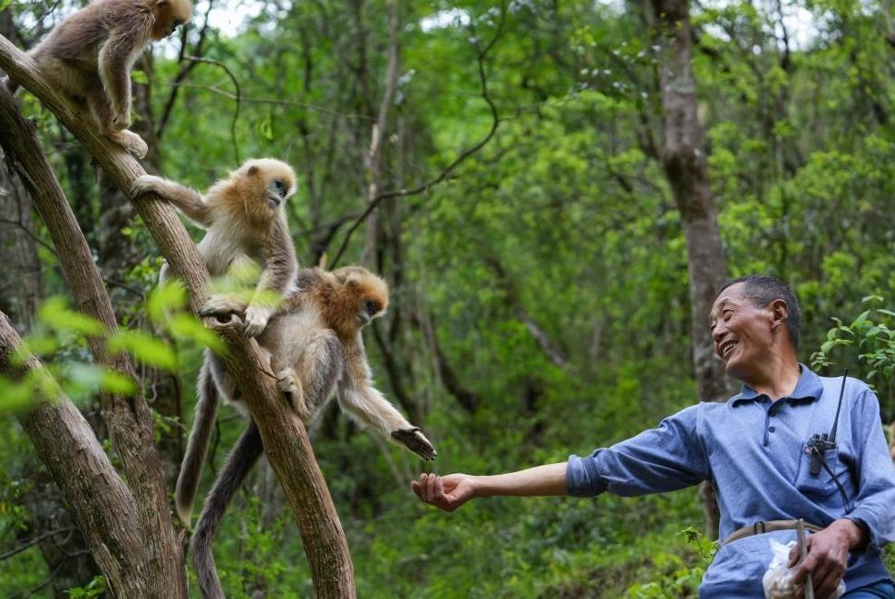 首次立法！國家公園筑起“法治屏障”